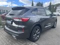 Daumennagel 6 - Ford Kuga 2.5 Duratec Plug-In Hybrid ST-Line X
