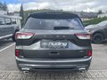 Daumennagel 7 - Ford Kuga 2.5 Duratec Plug-In Hybrid ST-Line X
