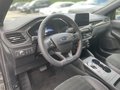 Daumennagel 11 - Ford Kuga 2.5 Duratec Plug-In Hybrid ST-Line X