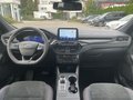 Daumennagel 14 - Ford Kuga 2.5 Duratec Plug-In Hybrid ST-Line X