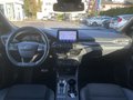Daumennagel 12 - Ford Focus 1.5 EcoBoost Aut. ST-Line AHK/iACC/HUD/LED