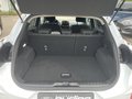 Daumennagel 7 - Ford Puma 1.0 EcoBoost Hybrid Aut. Titanium Navi/RFK