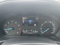 Daumennagel 16 - Ford Puma 1.0 EcoBoost Hybrid Aut. Titanium Navi/RFK