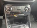 Daumennagel 20 - Ford Puma 1.0 EcoBoost Hybrid Aut. Titanium Navi/RFK