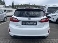 Daumennagel 6 - Ford Fiesta 1.0 EcoBoost Titanium ACC/LED/PDC