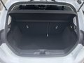 Daumennagel 7 - Ford Fiesta 1.0 EcoBoost Titanium ACC/LED/PDC