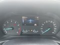 Daumennagel 16 - Ford Fiesta 1.0 EcoBoost Titanium ACC/LED/PDC