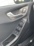 Daumennagel 22 - Ford Fiesta 1.0 EcoBoost Titanium ACC/LED/PDC