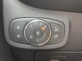 Daumennagel 21 - Ford Fiesta 1.0 EcoBoost Titanium ACC/LED/PDC