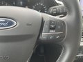 Daumennagel 24 - Ford Fiesta 1.0 EcoBoost Titanium ACC/LED/PDC