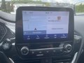 Daumennagel 18 - Ford Fiesta ST 1.5 EcoBoost Leder-Exklusiv Paket