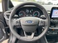 Daumennagel 14 - Ford Fiesta 1.0 EcoBoost Titanium SHZ/ACC/PDC