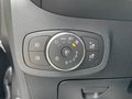 Daumennagel 20 - Ford Fiesta 1.0 EcoBoost Titanium SHZ/ACC/PDC