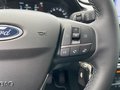 Daumennagel 23 - Ford Fiesta 1.0 EcoBoost Titanium SHZ/ACC/PDC