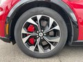 Daumennagel 11 - Ford Mustang Mach-E AWD Extended Range 98,7 kWh