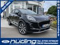Daumennagel 1 - Ford Puma 1.0 EcoBoost Hybrid Aut. Titanium X