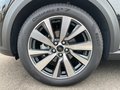 Daumennagel 11 - Ford Puma 1.0 EcoBoost Hybrid Aut. Titanium X