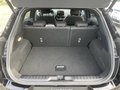 Daumennagel 8 - Ford Puma 1.0 EcoBoost Hybrid Aut. ST-Line ACC/RFK/LED