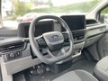 Daumennagel 11 - Ford Transit Custom Kasten 320 L1 AWD Aut. Trend