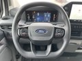 Daumennagel 13 - Ford Transit Custom Kasten 320 L1 AWD Aut. Trend