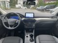 Daumennagel 14 - Ford Kuga 2.5 Duratec Plug-In Hybrid Titanium X