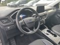 Daumennagel 11 - Ford Kuga 2.5 Duratec Plug-In Hybrid Titanium X