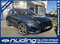 Daumennagel 1 - Ford Kuga 2.0 EcoBlue ST-Line ACC/LED/RFK/HUD