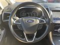 Daumennagel 17 - Ford S-Max 2.0 EcoBlue Aut. Titanium ACC/BLIS/LED/RFK