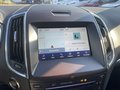 Daumennagel 19 - Ford S-Max 2.0 EcoBlue Aut. Titanium ACC/BLIS/LED/RFK