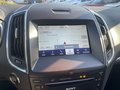 Daumennagel 21 - Ford S-Max 2.0 EcoBlue Aut. Titanium ACC/BLIS/LED/RFK