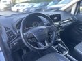 Daumennagel 11 - Ford EcoSport 1.0 EcoBoostTitanium AHK/RFK/Klima