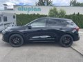 Daumennagel 12 - Ford Kuga 2.5 Duratec Plug-In Hybrid CVT ST-Line X