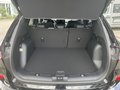 Daumennagel 8 - Ford Kuga 2.5 Duratec Plug-In Hybrid CVT ST-Line X