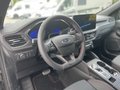 Daumennagel 14 - Ford Kuga 2.5 Duratec Plug-In Hybrid CVT ST-Line X