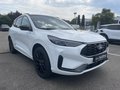 Daumennagel 4 - Ford Kuga 2.5 Duratec Plug-In Hybrid CVT ST-Line X