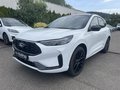 Daumennagel 2 - Ford Kuga 2.5 Duratec Plug-In Hybrid CVT ST-Line X
