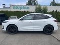 Daumennagel 11 - Ford Kuga 2.5 Duratec Plug-In Hybrid CVT ST-Line X