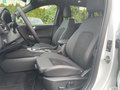 Daumennagel 14 - Ford Kuga 2.5 Duratec Plug-In Hybrid CVT ST-Line X