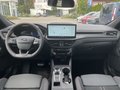 Daumennagel 16 - Ford Kuga 2.5 Duratec Plug-In Hybrid CVT ST-Line X