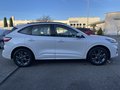 Daumennagel 5 - Ford Kuga 1.5 EcoBoost ST-Line ACC/LED/RFK/BLIS