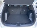 Daumennagel 8 - Ford Kuga 1.5 EcoBoost ST-Line ACC/LED/RFK/BLIS