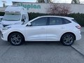 Daumennagel 10 - Ford Kuga 1.5 EcoBoost ST-Line ACC/LED/RFK/BLIS