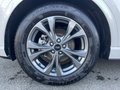 Daumennagel 11 - Ford Kuga 1.5 EcoBoost ST-Line ACC/LED/RFK/BLIS