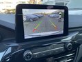Daumennagel 19 - Ford Kuga 1.5 EcoBoost ST-Line ACC/LED/RFK/BLIS
