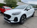 Daumennagel 2 - Ford Fiesta 1.0 EcoBoost Active Navi/RFK/LED/SZH