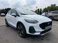 Daumennagel 4 - Ford Fiesta 1.0 EcoBoost Active Navi/RFK/LED/SZH