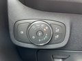 Daumennagel 22 - Ford Fiesta 1.0 EcoBoost Active Navi/RFK/LED/SZH