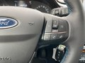 Daumennagel 25 - Ford Fiesta 1.0 EcoBoost Active Navi/RFK/LED/SZH