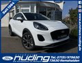 Daumennagel 1 - Ford Puma 1.0 EcoBoost Hybrid Titanium ACC/LED/RFK