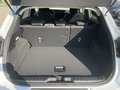 Daumennagel 8 - Ford Puma 1.0 EcoBoost Hybrid Titanium ACC/LED/RFK